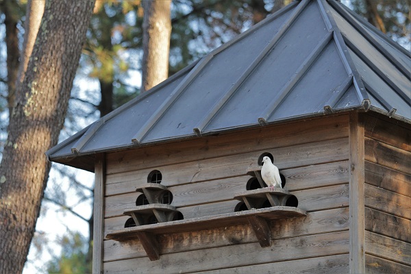 Parc de Robillard