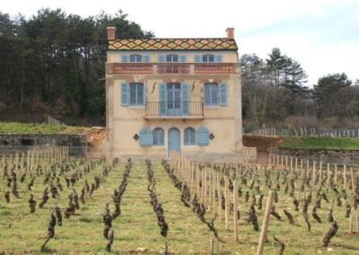 Maison Bourguignonne au milieu des vignes avec un toit doré