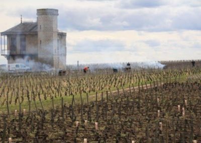 Les vignerons travaillant dans leurs vignes en Bourgogne
