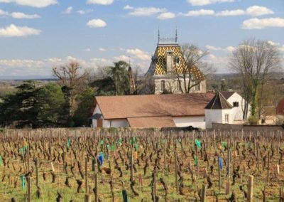 Les vignes taillées et les toits dorés symbole de la Bourgogne