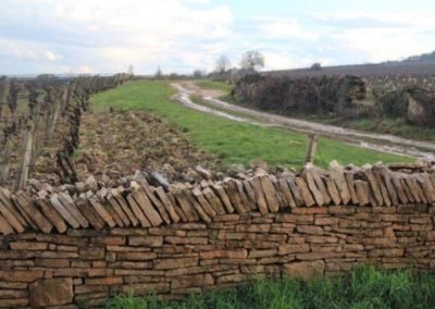 Vue des murets de pierres sèches en Bourgogne avec des pierres posées en biais