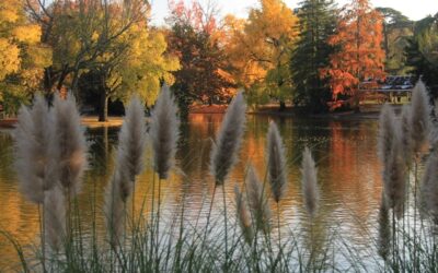 Le parc bordelais en automne