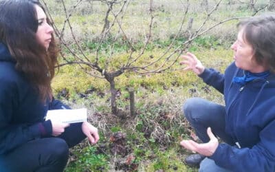 Comment tailler la vigne ? Rencontre avec Stella Puel du château Bardins