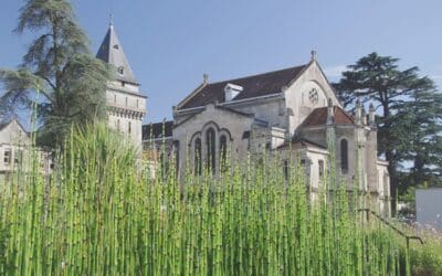 Balade à vélo dans Bordeaux : le quartier Saint-Augustin, Tauzin, Alphonse Dupeux