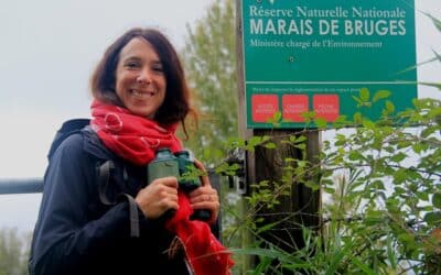 la réserve naturelle nationale des marais de bruges