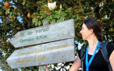 La ronde des vignobles en Fronsadais