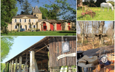 Sortie dans le vignoble Bordelais : visite du château Lusseau et balade à Langoiran