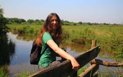 Le Teich : balade autour du delta de la Leyre