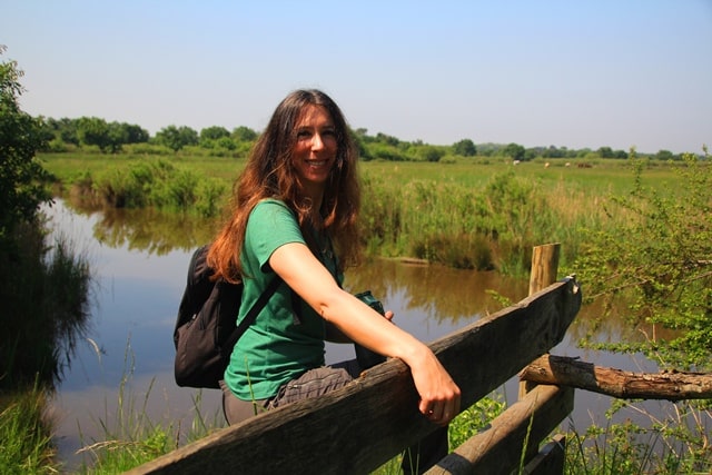 Le Teich : balade autour du delta de la Leyre