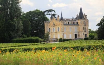 La route des vins de Bordeaux : balade à vélo autour des appellations Pessac-Léognan et Graves