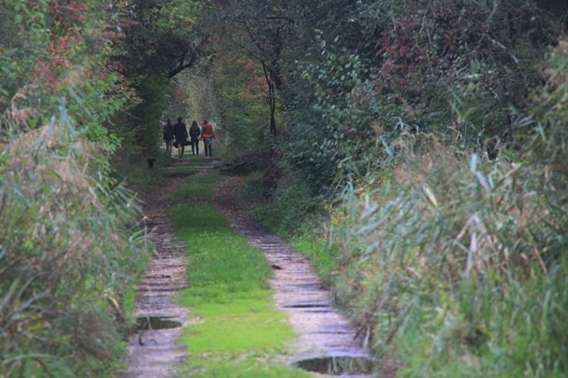 Réserve nationale naturelle des marais de Bruges