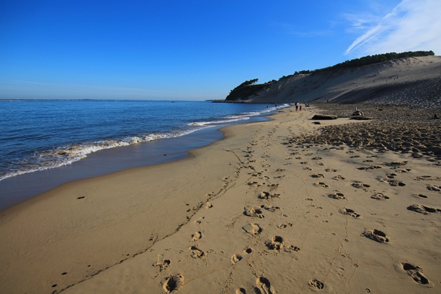 Une journée au Bassin d'Arcachon