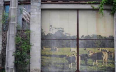 Les Glacières de la Banlieue, une adresse unique à Bordeaux