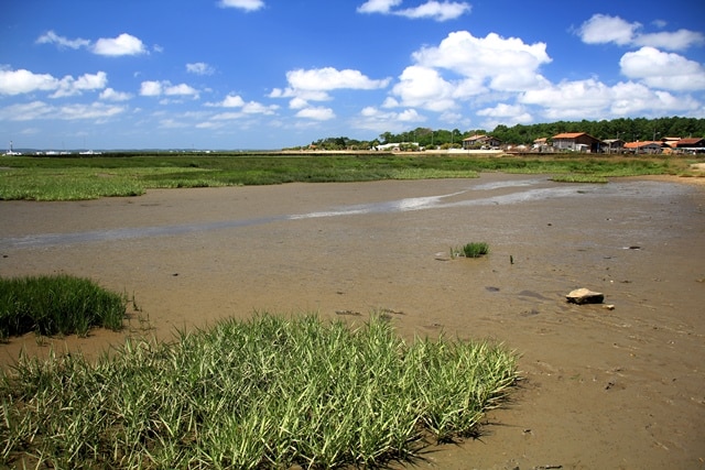 Bassin d'Arcachon