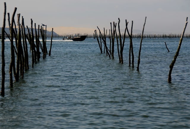 Le Bassin d'Arcachon