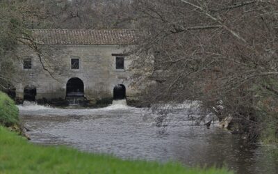découvrir bordeaux métropole autrement : le sentier des terres communes