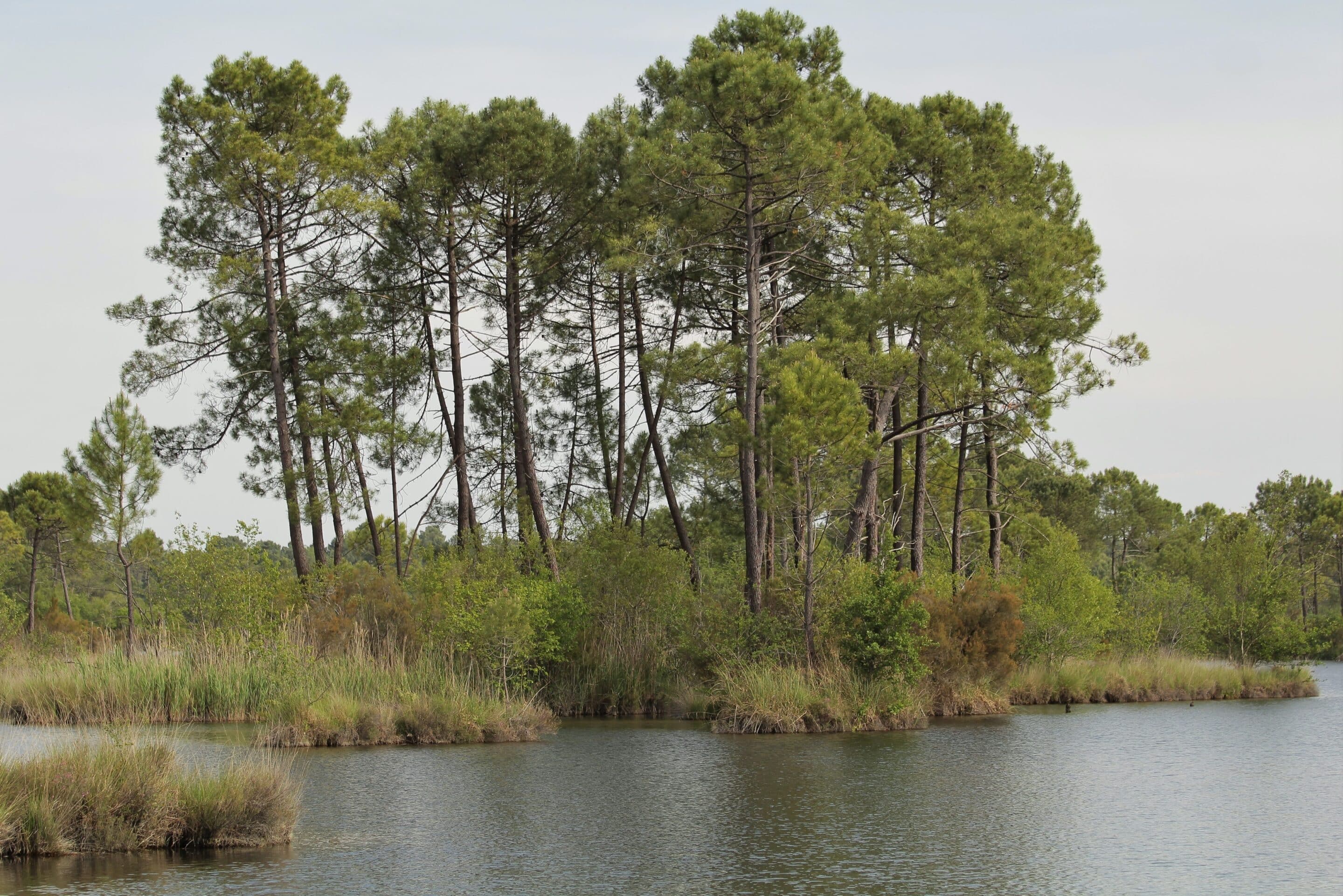 tourisme sud Gironde
