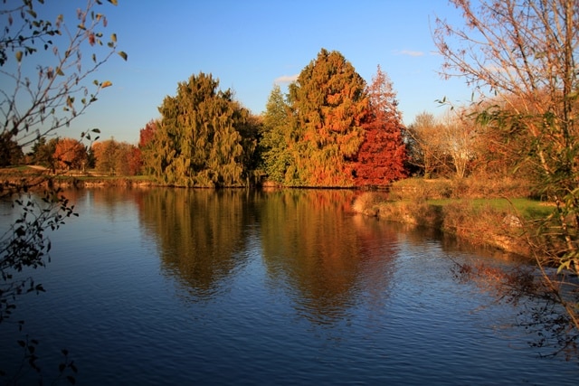 Plan d'eau de la réserve écologique des Barails