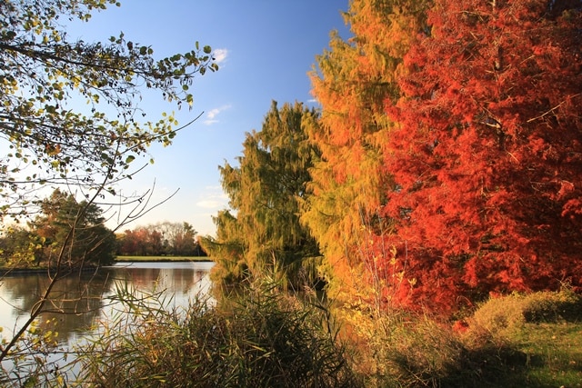 Bordeaux balade en automne