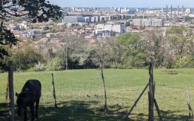 Parc des Coteaux à Bordeaux : 4 panoramas sur la rive gauche à ne pas manquer