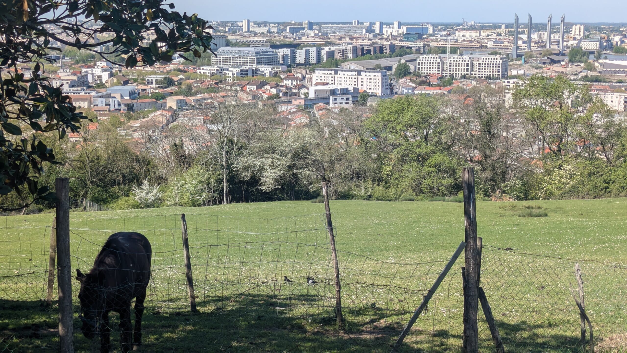 Parc des Coteaux, panoramas sur Bordeaux