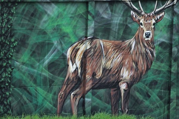 A-MO street art