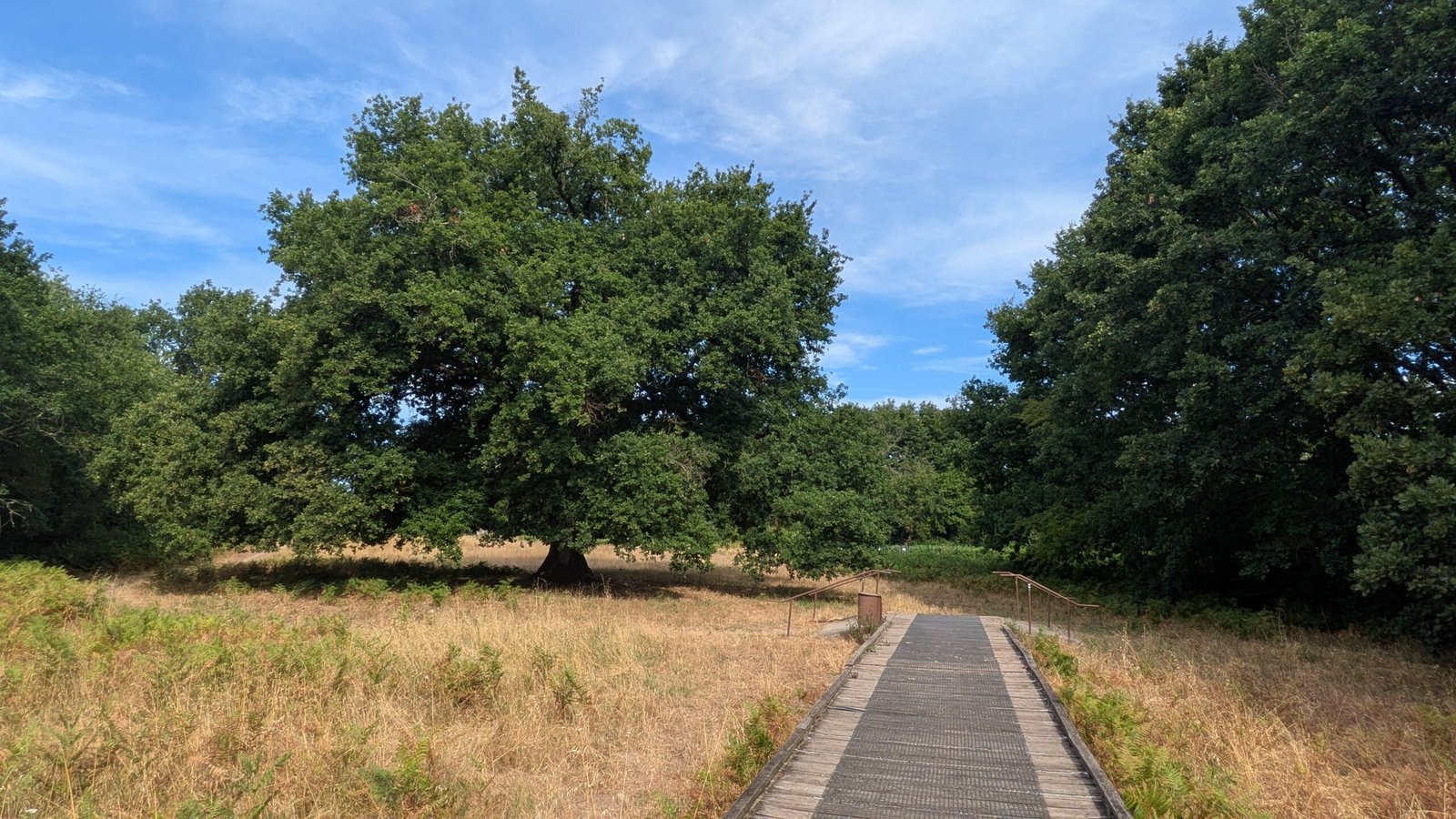 Parc du Ruisseau