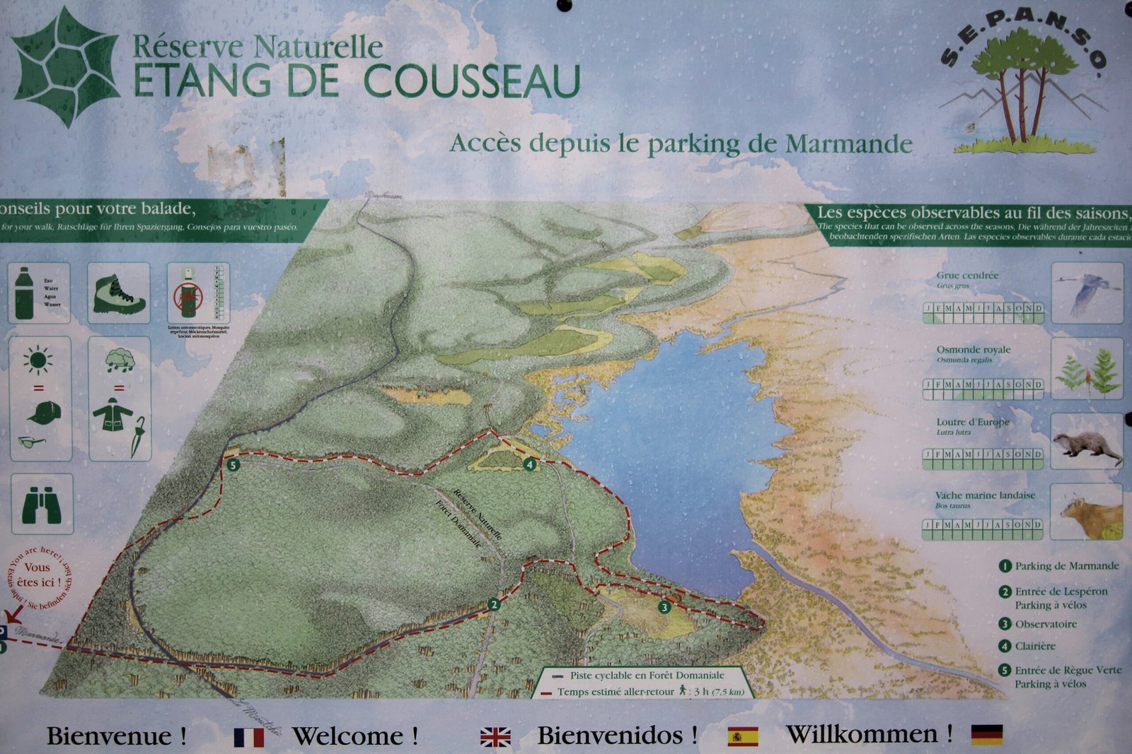 Carte de la réserve de l'étang de cousseau