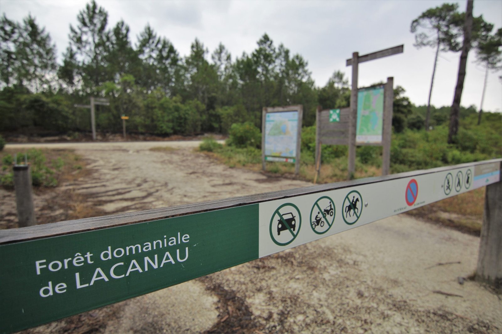 Forêt domaniale