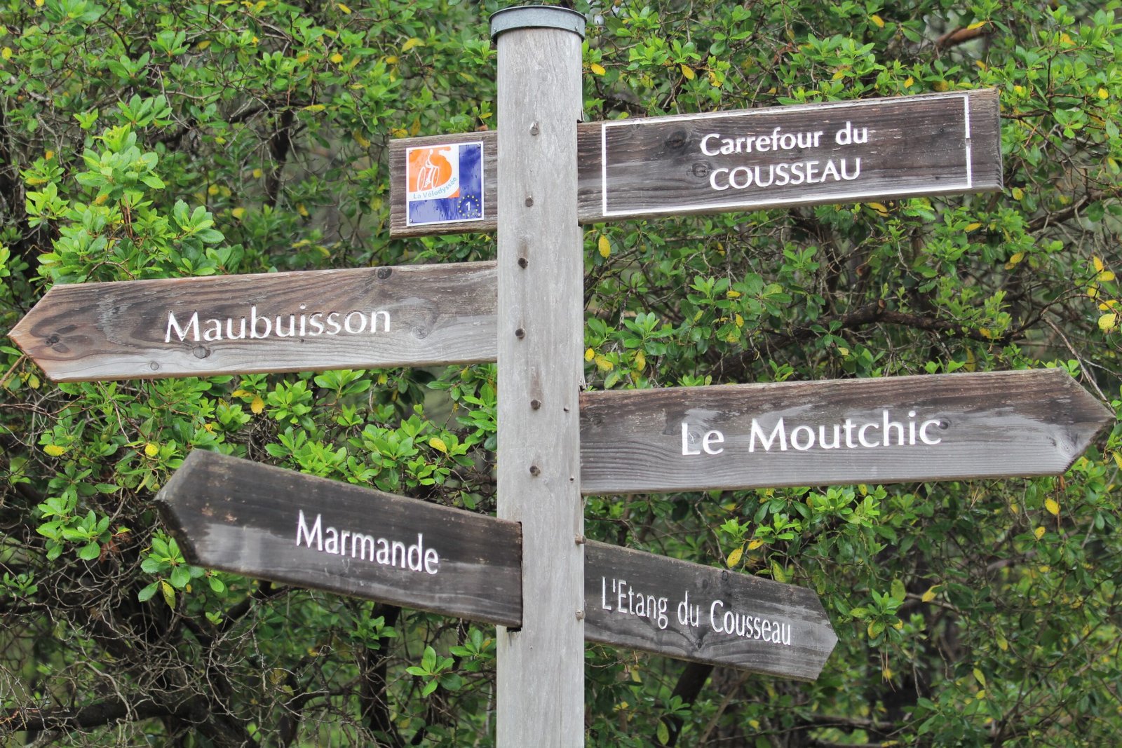 Signalétique pour une balade autour de l'étang