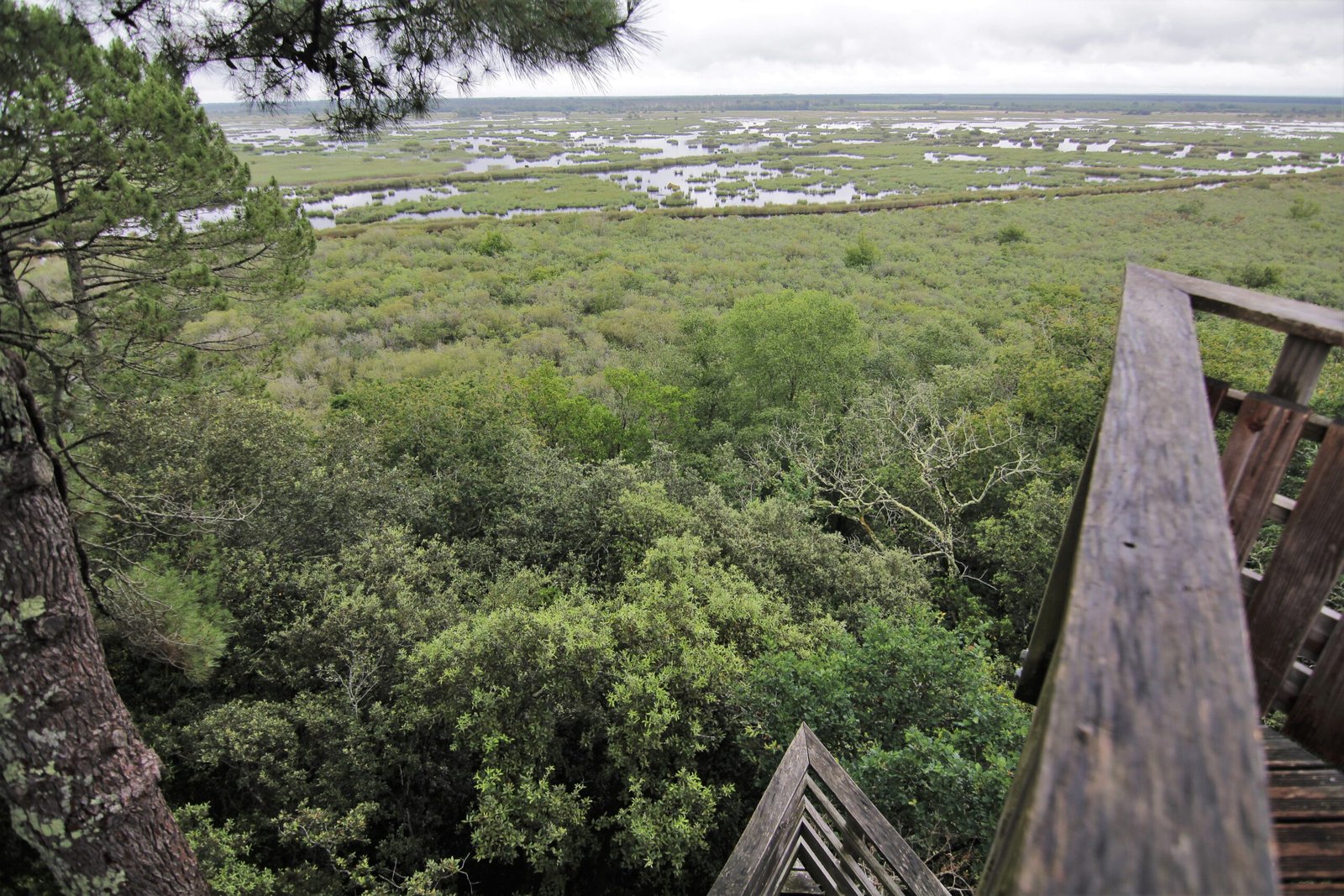 Panorama sur les marais